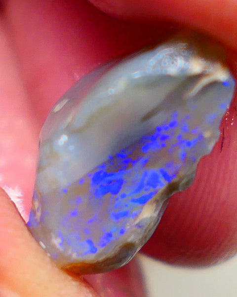 Gorgeous L/Ridge Crystal on Dark base Knobby Rough Opal 9.50cts Loaded with Bright Blue fires to cut 18x11x8mm Auction98