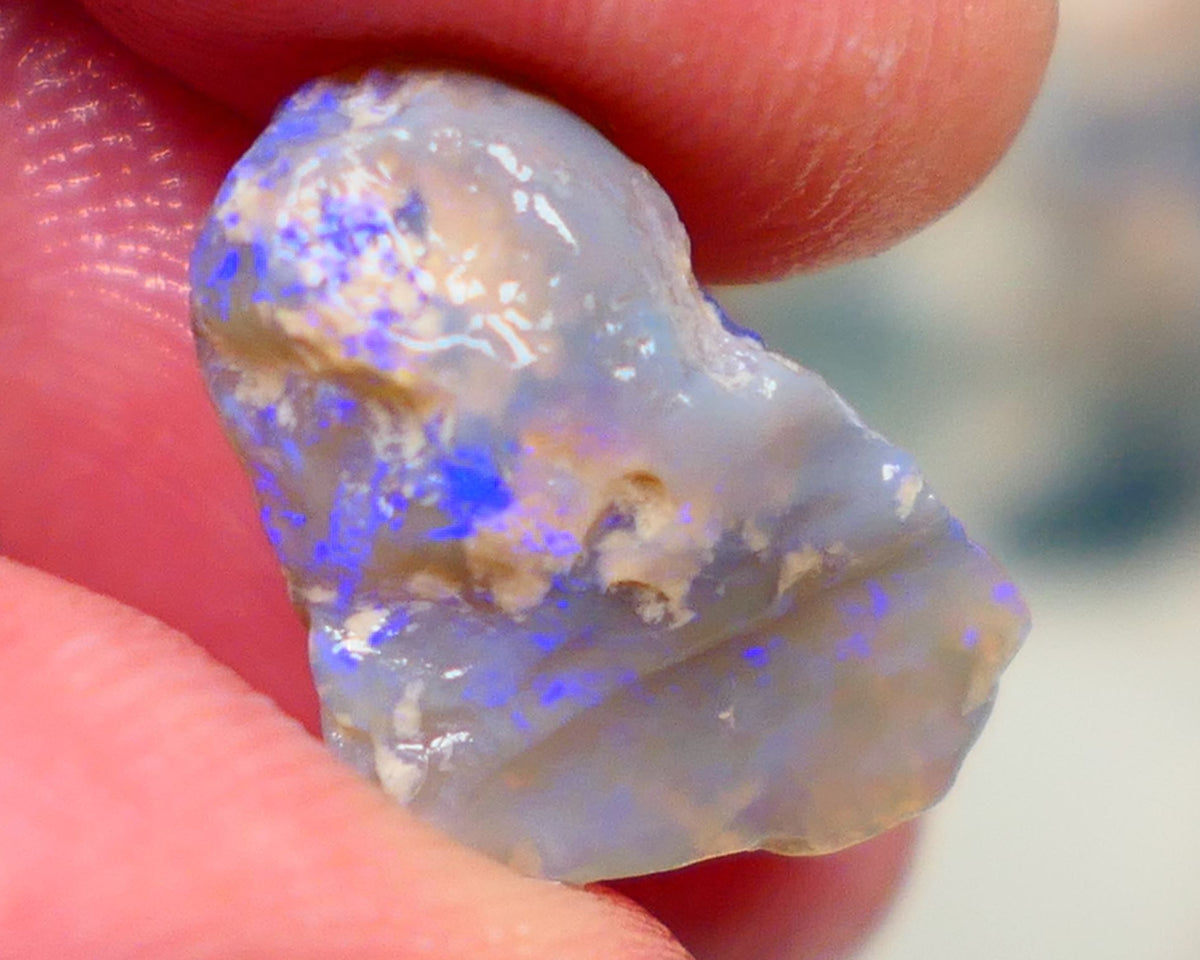 Gorgeous L/Ridge Crystal on Dark base Knobby Rough Opal 9.50cts Loaded with Bright Blue fires to cut 18x11x8mm Auction98