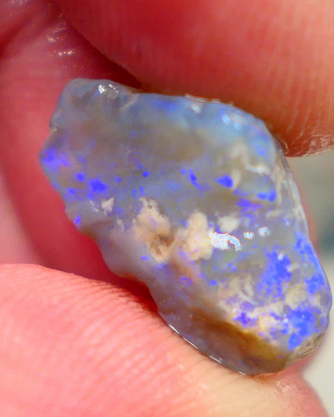 Gorgeous L/Ridge Crystal on Dark base Knobby Rough Opal 9.50cts Loaded with Bright Blue fires to cut 18x11x8mm Auction98