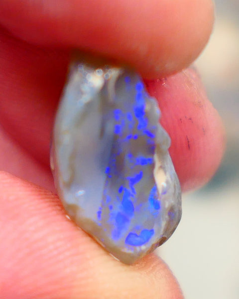 Gorgeous L/Ridge Crystal on Dark base Knobby Rough Opal 9.50cts Loaded with Bright Blue fires to cut 18x11x8mm Auction98