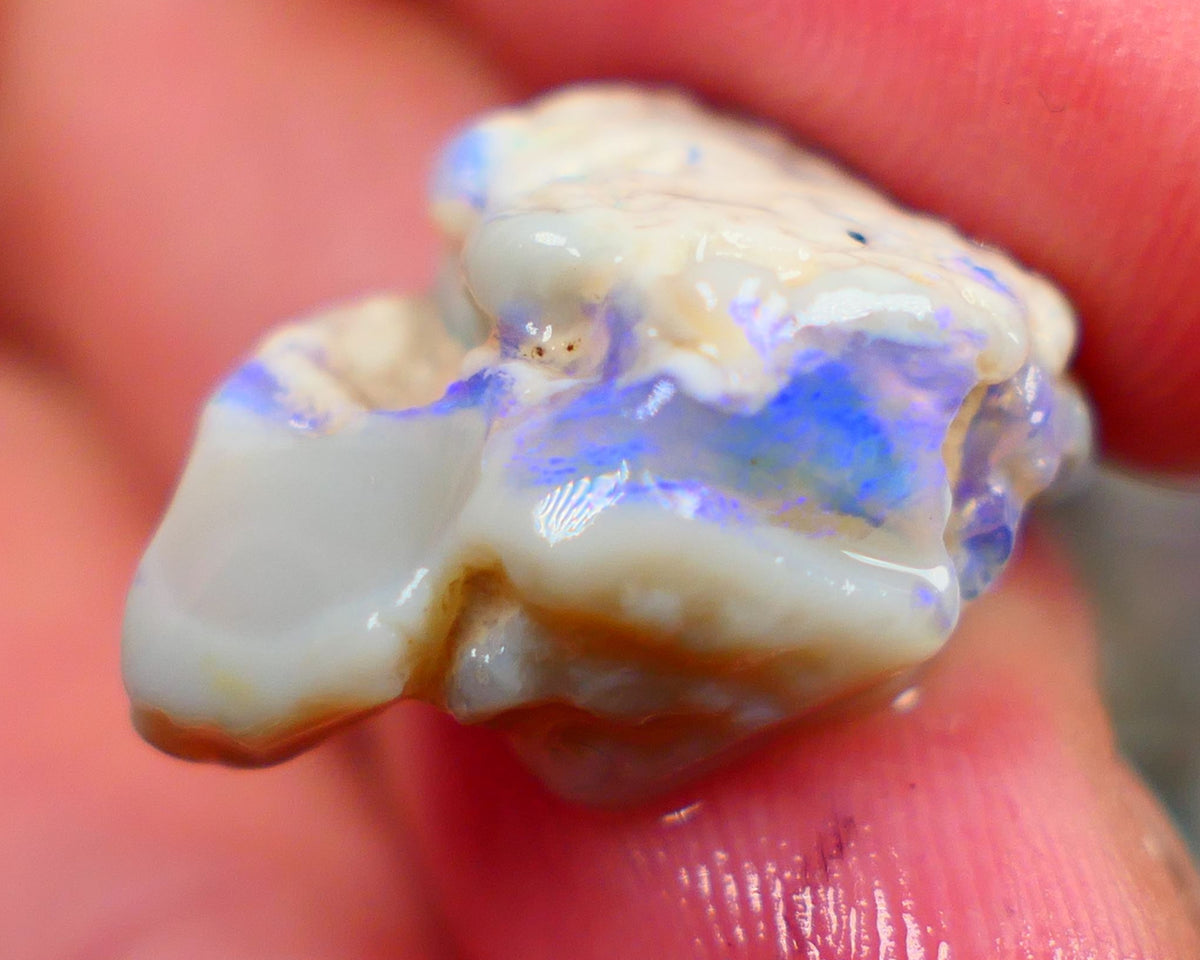 Lightning Ridge Rough Opal 14.00cts Bright Blues showing on Grey base Sold as gamble 20x16x11mm Auction169