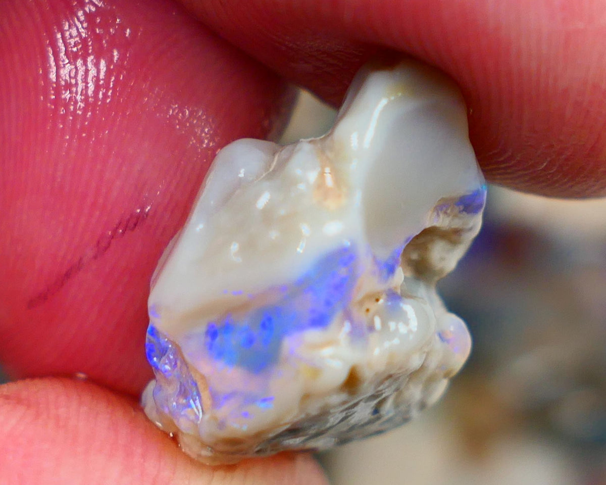 Lightning Ridge Rough Opal 14.00cts Bright Blues showing on Grey base Sold as gamble 20x16x11mm Auction169