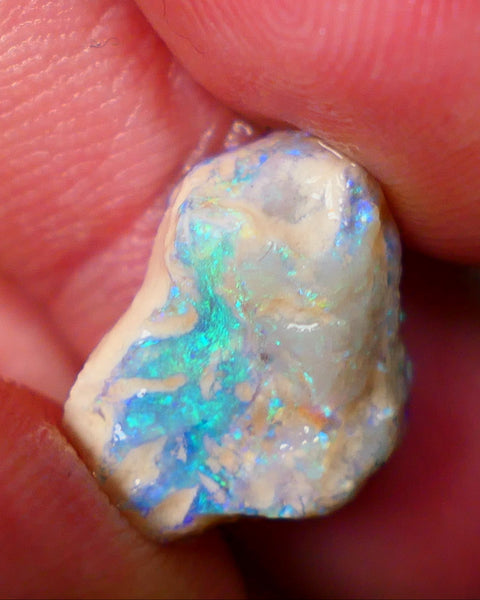 Lightning Ridge Dark Crystal knobby opal formation 7.25cts Gorgeous Green & Blue tones sold as gamble 16x13x7mm GMB-005