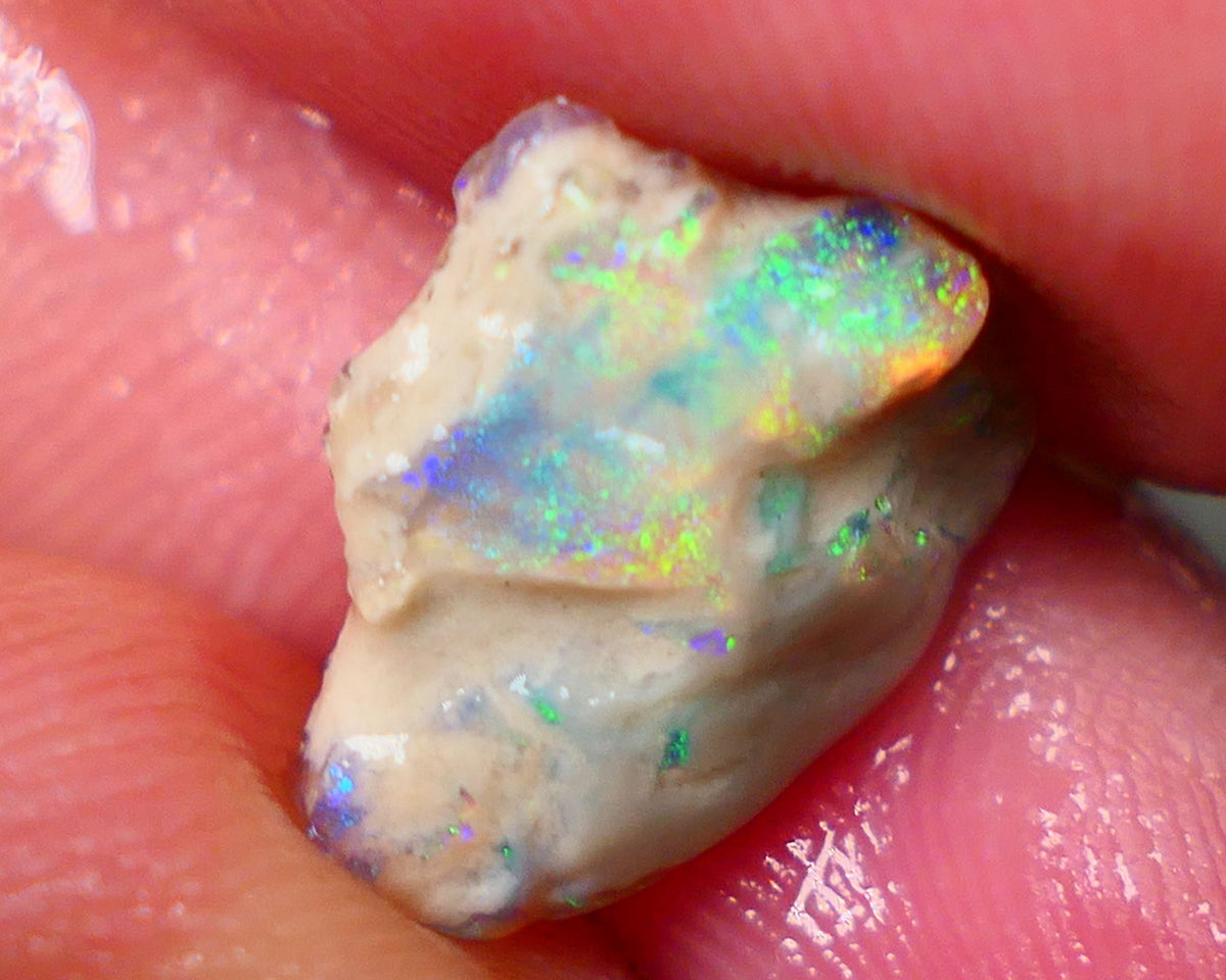 Lightning Ridge Knobby opal formation 3.45cts Gorgeous Multifires showing Sold as Gamble 14x11x4mm GMB-002