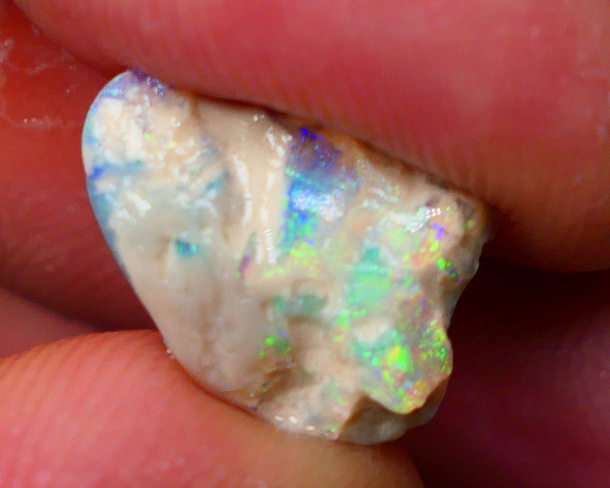 Lightning Ridge Knobby opal formation 3.45cts Gorgeous Multifires showing Sold as Gamble 14x11x4mm GMB-002