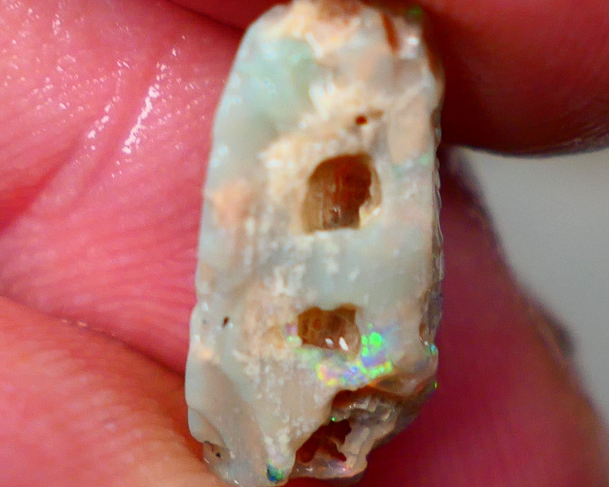 Lightning Ridge  Opalised Wood fossil rough opal 4.60cts Dark base with some Multicolour flashes to explore or collect 18x7x6mm GMB-011