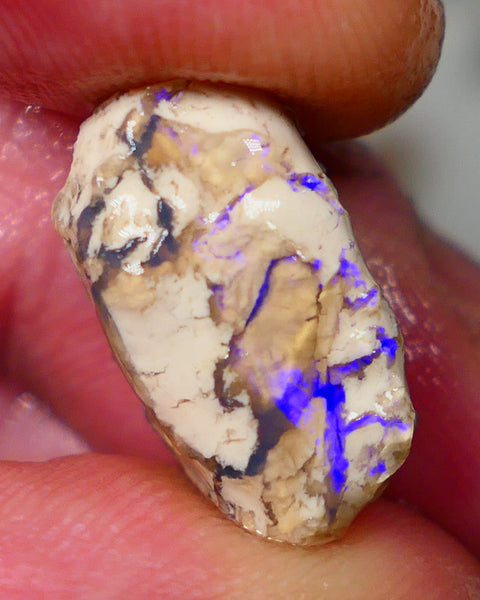 Lightning Ridge Opal formation rough 9.50cts Bright Blues fires to opal veins on one side of this sand/clay host 17x11x9mm GMB-019