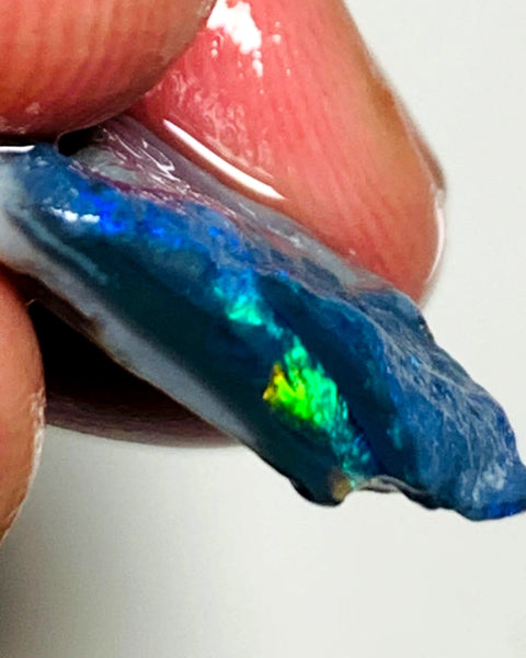 OPAL MONTH SPECIAL Lightning Ridge Rough Opal Black Seam 7.4cts Cutters Candy Exotic High Grade Super Bright Multifires 18x13x5mm WSZ89