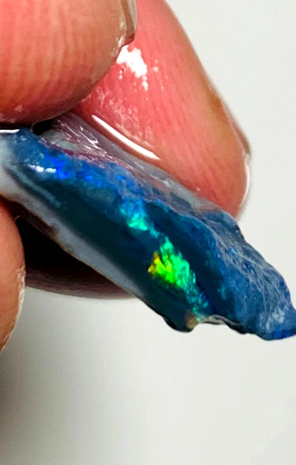 OPAL MONTH SPECIAL Lightning Ridge Rough Opal Black Seam 7.4cts Cutters Candy Exotic High Grade Super Bright Multifires 18x13x5mm WSZ89