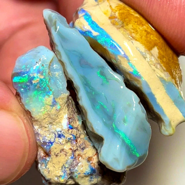 Lightning Ridge Rough Opal 79cts Big sized Dark Base Seam Blue & green showing in bars 32x19x11mm to 30x15x9mm WAD41