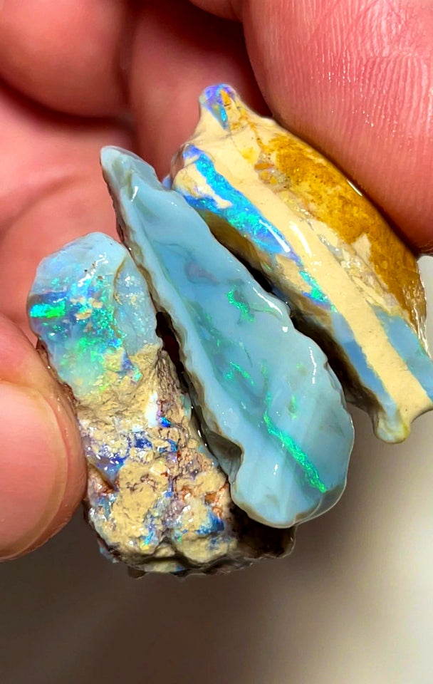 Lightning Ridge Rough Opal 79cts Big sized Dark Base Seam Blue & green showing in bars 32x19x11mm to 30x15x9mm WAD41