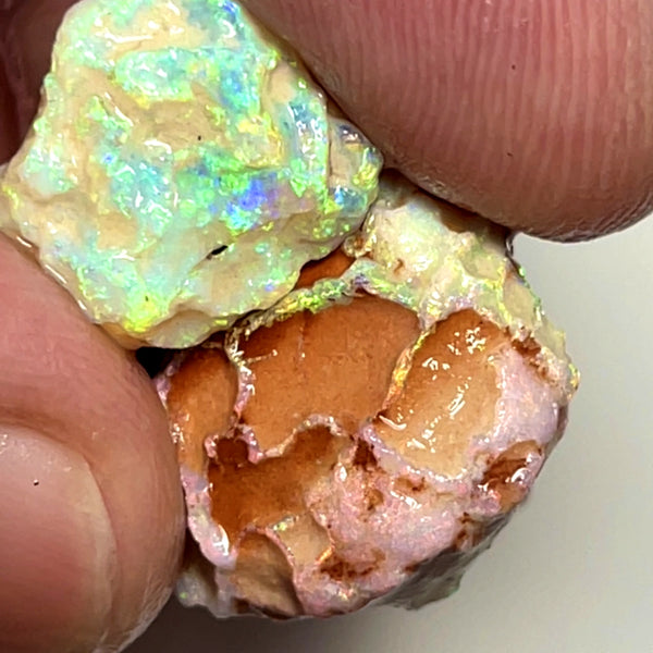 Lightning Ridge 18cts Nice pair of Dark base Crystal Opal formations rough to cut/carve or Collect Gorgeous Bright Multicolours  18x15x8mm & 14x11x4mm 1004