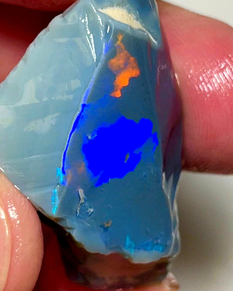 Lightning Ridge Opal Huge Rough/Rub Dark Base From the Miners Bench® 60cts Broad zones of Orange/Blue fires 39x24x12mm WAD29