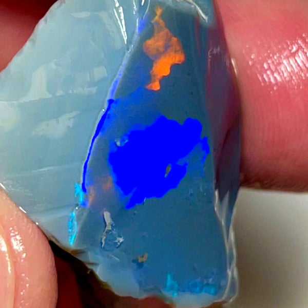 Lightning Ridge Opal Huge Rough/Rub Dark Base From the Miners Bench® 60cts Broad zones of Orange/Blue fires 39x24x12mm WAD29