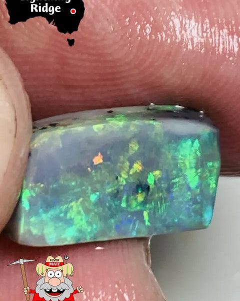 Australian Lightning Ridge Rough / Rub Semi Black Opal Miners Bench 5.6Cts Gorgeous Bright