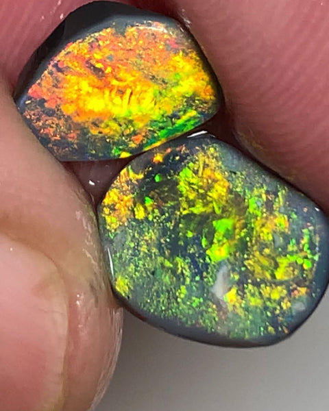 Lightning Ridge Rough / Rub Black opal Pair Miners Bench®  2.2cts Exotic Super Bright Vibrant & Vivid Multifires  11x8x1mm & 9x6x1mm WSU52