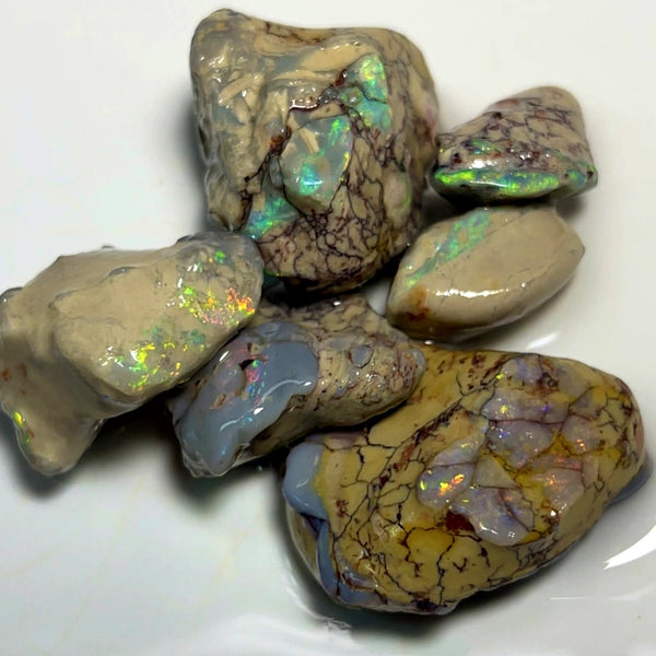 Lightning Ridge Rough Dark & Crystal Opal Parcel 125cts Knobby & Seam Formations with bright Multi colours showing 30x22x8mm to 18x10x5mm WAD37