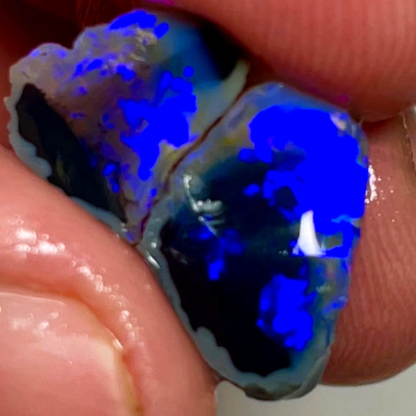 Lightning Ridge Rough Opal 7.75cts Gorgeous  Black Knobby Split Stunning bars with lots of Bright blues 15x9x7 & 12x9x4 mm WAE42