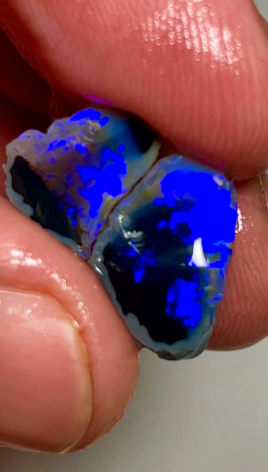 Lightning Ridge Rough Opal 7.75cts Gorgeous  Black Knobby Split Stunning bars with lots of Bright blues 15x9x7 & 12x9x4 mm WAE42