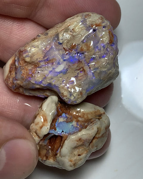 NO RESERVE Lightning Ridge Rough Opal 110cts Opalised wood fossil formations with host rock colourful rough suit being carved Potential 37x25x11mm & 25x22x10mm WSS12