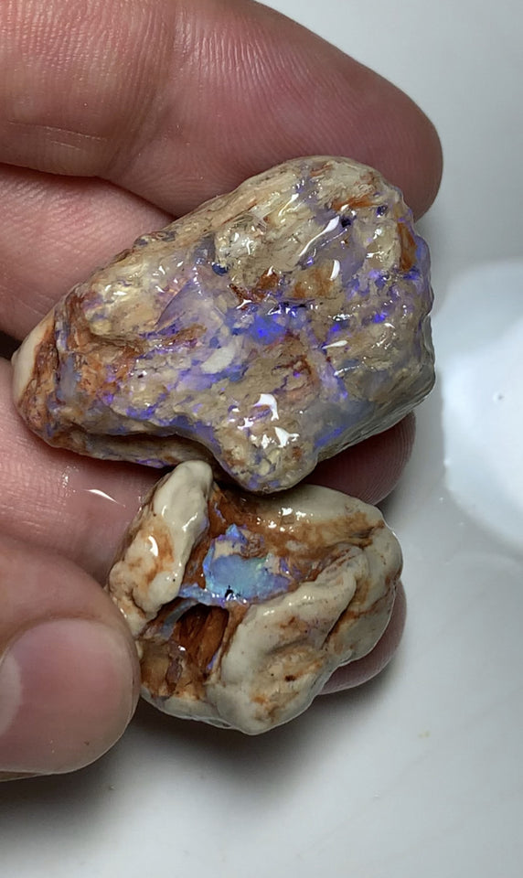 NO RESERVE Lightning Ridge Rough Opal 110cts Opalised wood fossil formations with host rock colourful rough suit being carved Potential 37x25x11mm & 25x22x10mm WSS12