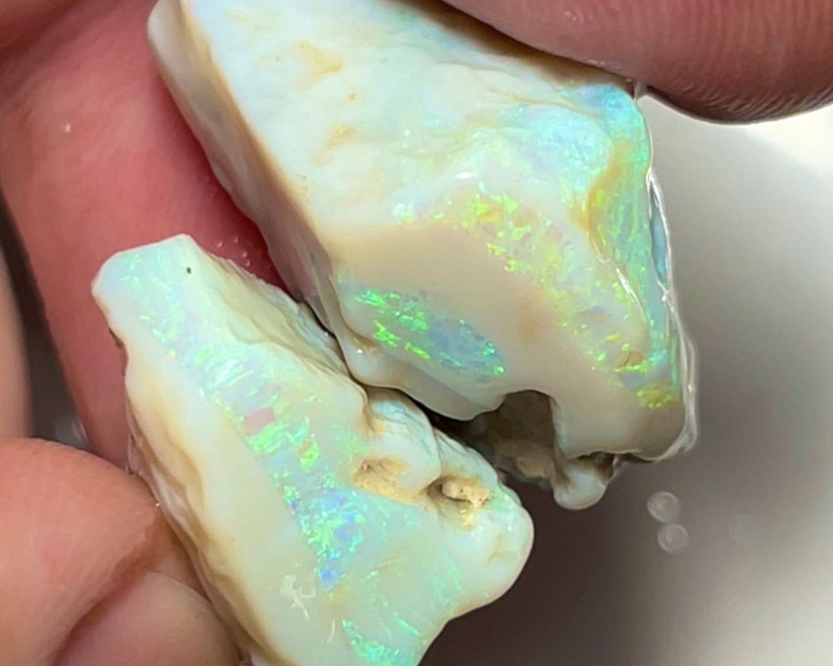 Lightning Ridge Rough Big Thick Seam Opals 50.00cts Stunning Light base with Gorgeous Bright Multi fires 27x17x16 & 20x12x11 mm NSA024