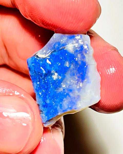 Lightning Ridge Opal Dark Base Seam Rough 9.5cts Gorgeous blues fires to cut 21x17x3mm WAD56