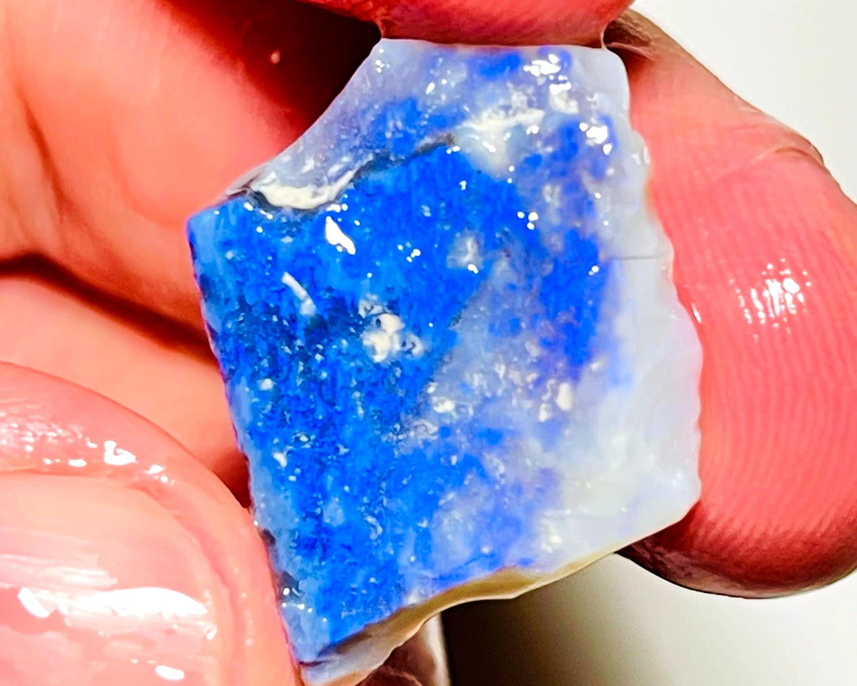 Lightning Ridge Opal Dark Base Seam Rough 9.5cts Gorgeous blues fires to cut 21x17x3mm WAD56