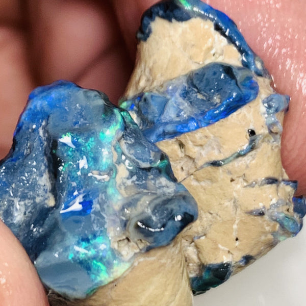 Lightning Ridge Rough Opal 45cts Black Seam Pair Still on host rock Green/blue fires 24x20x12mm & 23x17x10mm WST74