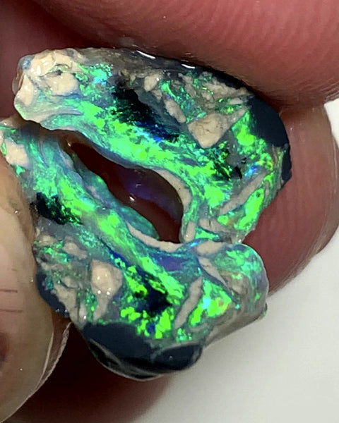 OPAL MONTH SPECIAL Lightning Ridge Rough Opal Black N1 Base Knobby Split 11cts Cutters Candy Exotic High Grade Super Bright Neon Green dominant fires 17x12x7mm & 15x7x7mm WSZ78