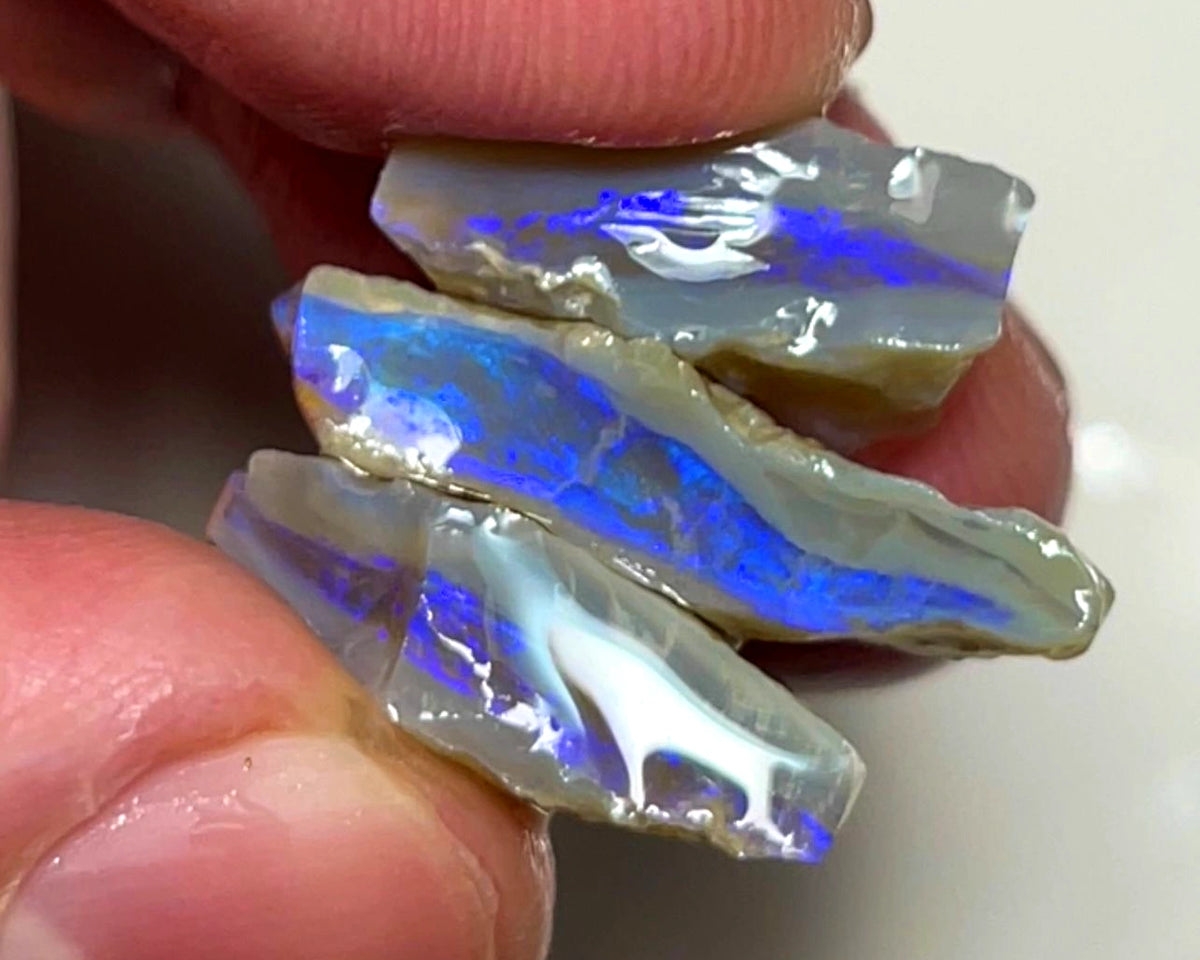 Lightning Ridge Rough Opal 20cts Stack of Dark Base Crystal Seams Bright Blues colour fires to Cut / carve & polish 22x12x5mm to 16x9x7mm 1026