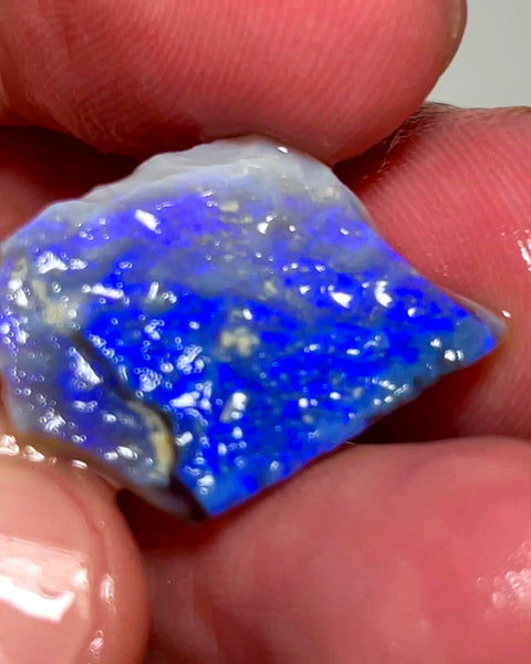 Lightning Ridge Opal Dark Base Seam Rough 9.5cts Gorgeous blues fires to cut 21x17x3mm WAD56