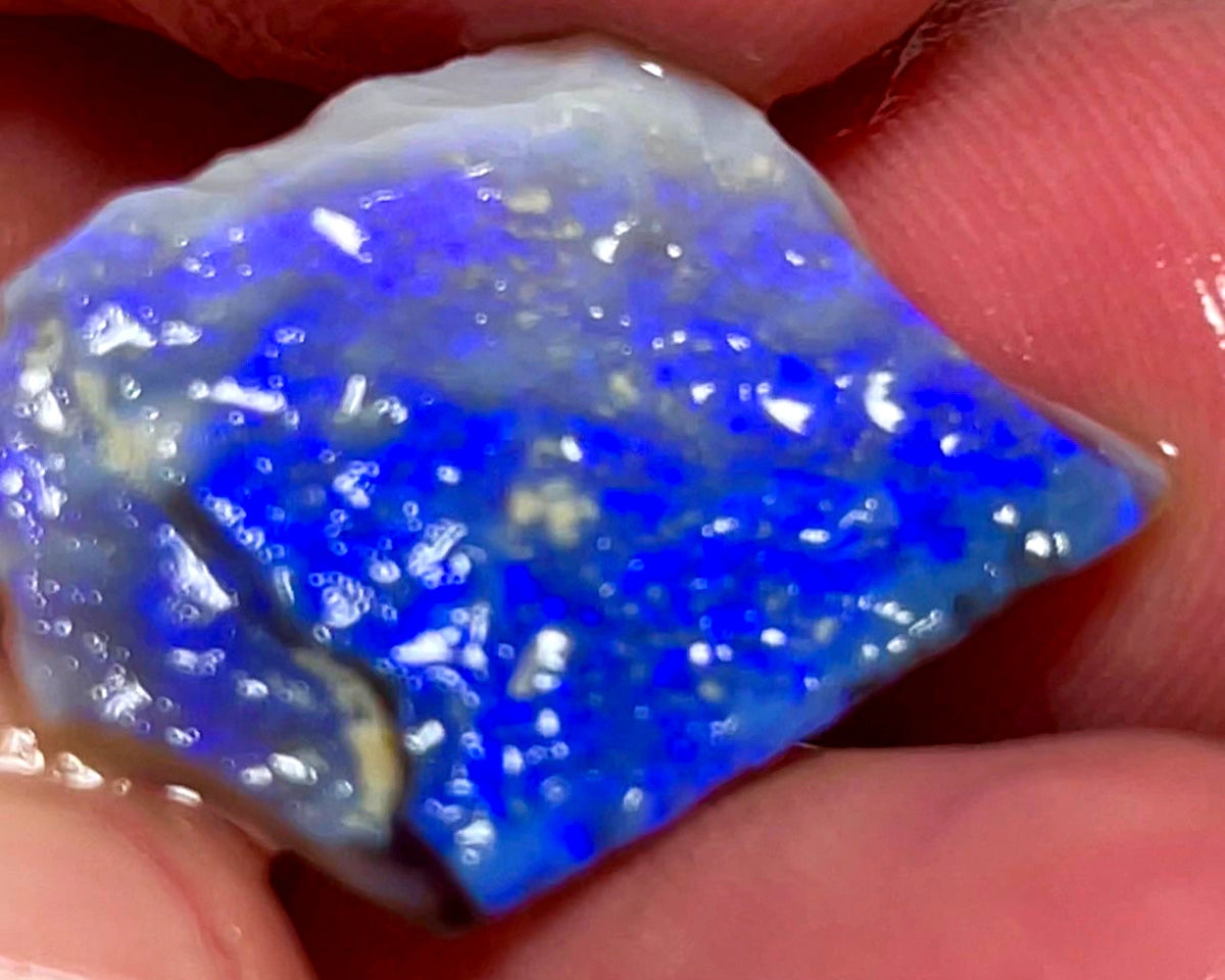 Lightning Ridge Opal Dark Base Seam Rough 9.5cts Gorgeous blues fires to cut 21x17x3mm WAD56