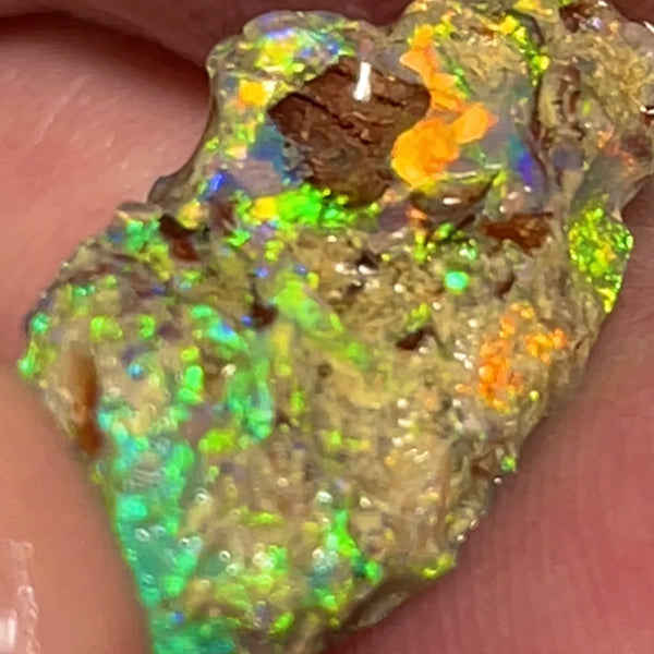 Bling Bling Lightning Ridge Rough Opal 6.25cts Untouched Opalised Wood Fossil Vibrant Rich Bright Multifires 20x10x5mm NEW26