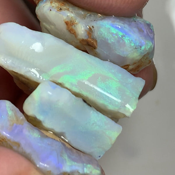 Lightning Ridge Rough Opal Thick Seams Stack cutters 80cts Select Material Lots Bright Multifires in nice thick bars 25x20x7mm to 20x15x6mm WST69