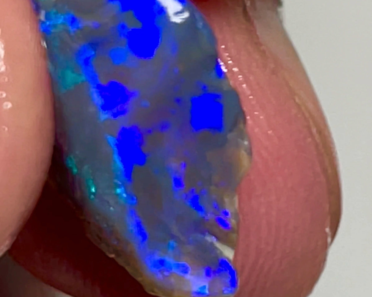 Lightning Ridge Rough Dark Crystal Opal  7.00cts Gorgeous Knobby with Bright Royal blue colours 17x12x6mm NSW013