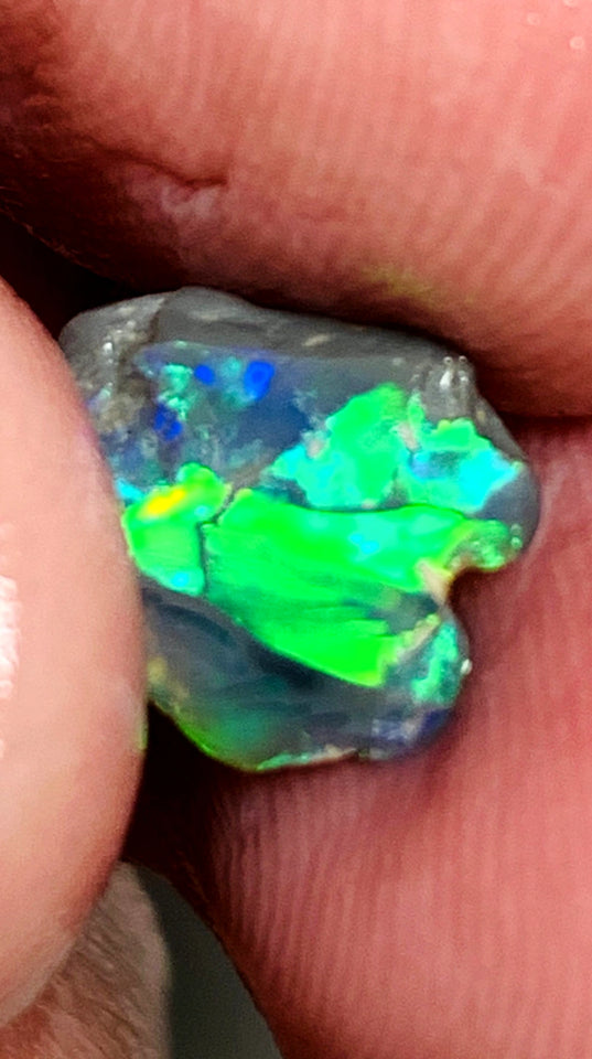 Lightning Ridge Miners Bench® Little Knobby Opal Rub Gorgeous Dark Base Rough / Rub 1.45cts Vibrant & Bright Multifires broad pattern 10x10x2.5mm WAA49