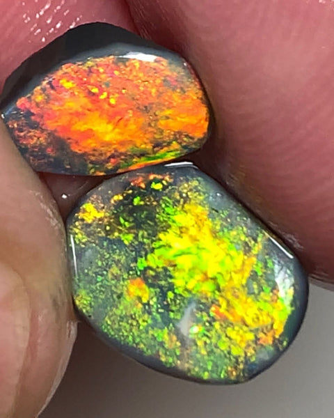 Lightning Ridge Rough / Rub Black opal Pair Miners Bench®  2.2cts Exotic Super Bright Vibrant & Vivid Multifires  11x8x1mm & 9x6x1mm WSU52