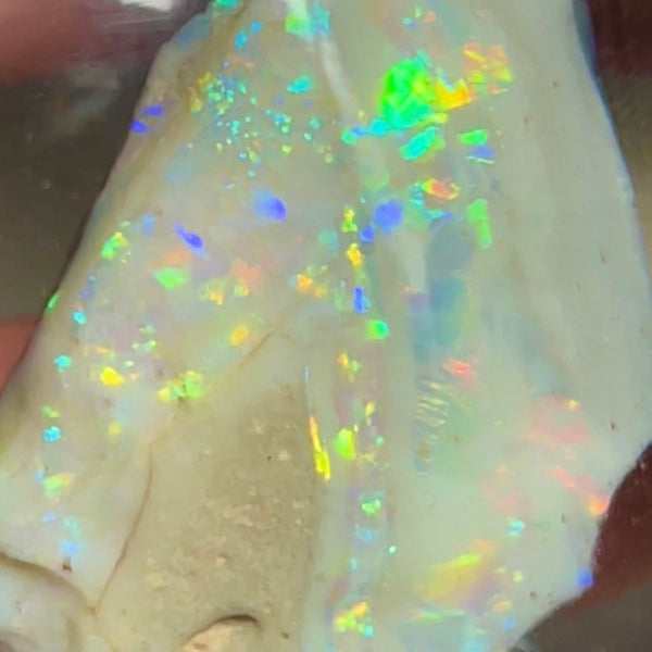 CUTTERS GEM ROUGH Lightning Ridge  47.75cts Bright gorgeous Multicolours to cut & polish 33.00x 18.00x 17.00mm NEW973