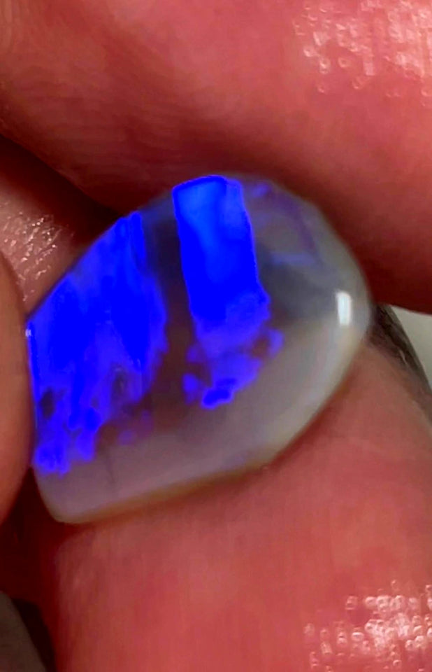 Lightning Ridge Rough / Rub /Preform Dark Base Crystal Knobby opal Miners Bench® 4cts Clean Gorgeous Bright Blues 16x11x3mm WAC35