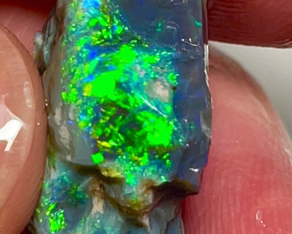 Gem Cutters Black seam opal rough Lightning Ridge 15.95cts Gorgeous Bright Multicolours showing potential Chinese writing /script pattern to cut 20.00x 14.00x 10.00mm NEW961