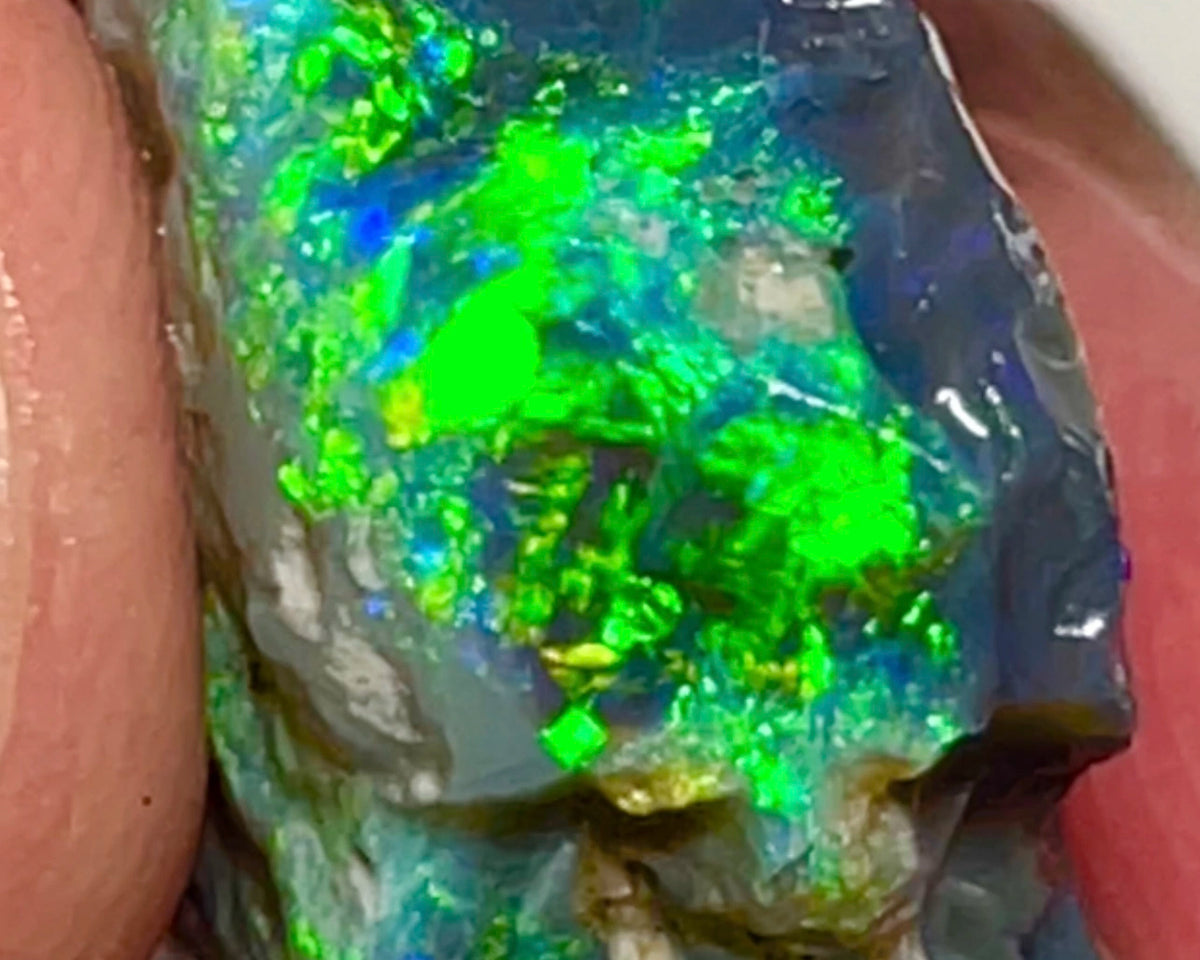 Gem Cutters Black seam opal rough Lightning Ridge 15.95cts Gorgeous Bright Multicolours showing potential Chinese writing /script pattern to cut 20.00x 14.00x 10.00mm NEW961