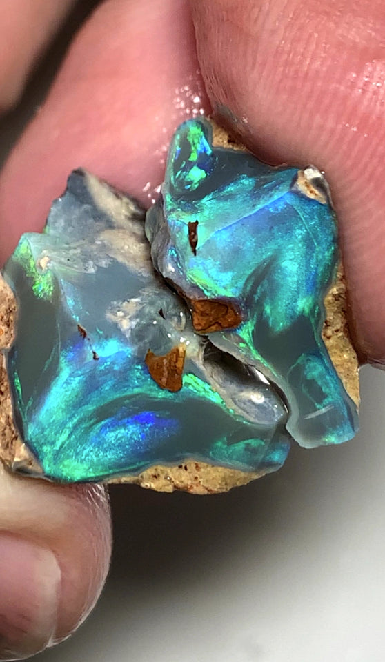 OPAL MONTH SPECIAL Lightning Ridge Rough Opal Dark Base Seam Split 15.75cts Cutters Candy Exotic High Grade Bright Multifires in stunning bars 17x15x8mm to 15x10x7mm WSZ76