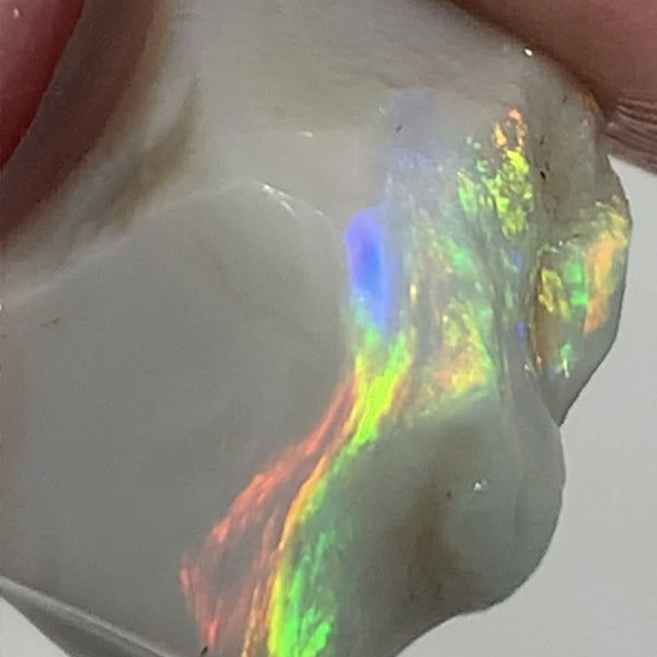 Australian Lightning Ridge Top Gem Select Bright Semi Black Seam Rough Opal 11cts Super Rainbow of Bright Multifires Stunning bar 16x11x11mm WSM100