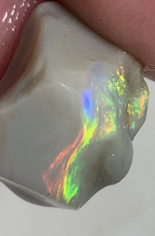 Australian Lightning Ridge Top Gem Select Bright Semi Black Seam Rough Opal 11cts Super Rainbow of Bright Multifires Stunning bar 16x11x11mm WSM100