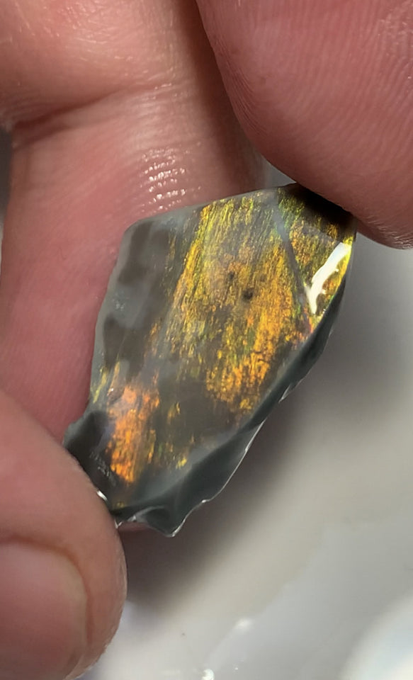 Australian Black Opal High Grade Rough / Rub Jewellery Grade  N3 Bodytone 13.5cts Packed with bright Orange fires & gorgeous pattern WSB659