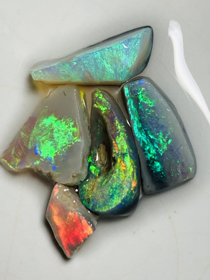 Australian Opal Rubs Parcel Semi Black & Crystal Plate of colour from the Miners Bench® 13cts Super Bright Vivid fires to faces 15x7x3mm to 6x6x4mm WSQ99