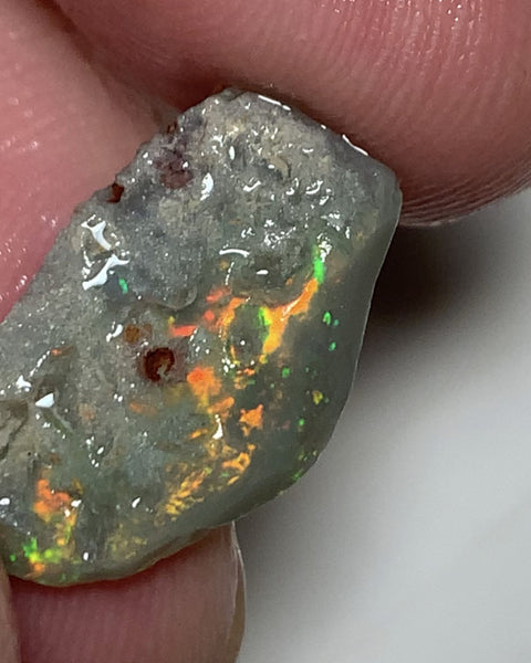 Australian Lightning Ridge Cutter Candy Select Bright Semi Black Crystal Seam Rough Opal 8cts Exotic Bright Yellow/orange dominant fires 21x11x5mm WSP58