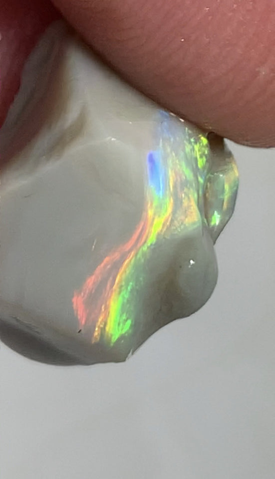 Australian Lightning Ridge Top Gem Select Bright Semi Black Seam Rough Opal 11cts Super Rainbow of Bright Multifires Stunning bar 16x11x11mm WSM100