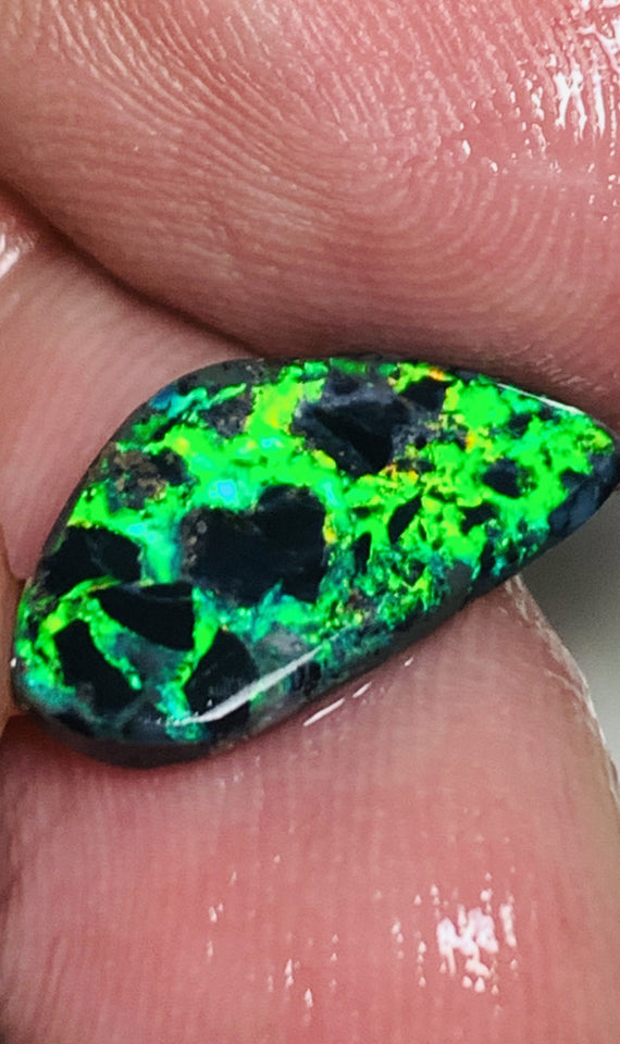 Australian Opal Rough Rub prefrom Gem Grade N3 Black Opal Miners Bench® Snake Skin 2.9cts Lots of Lovely Sharp bright green fires 15x8x3mm WSN42